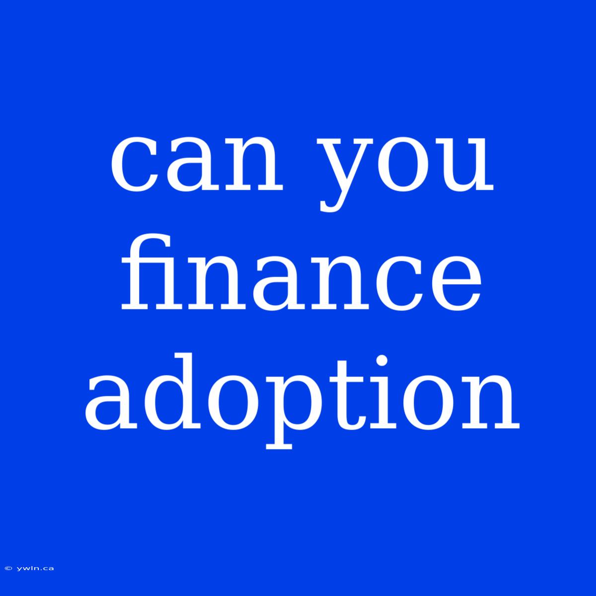 Can You Finance Adoption