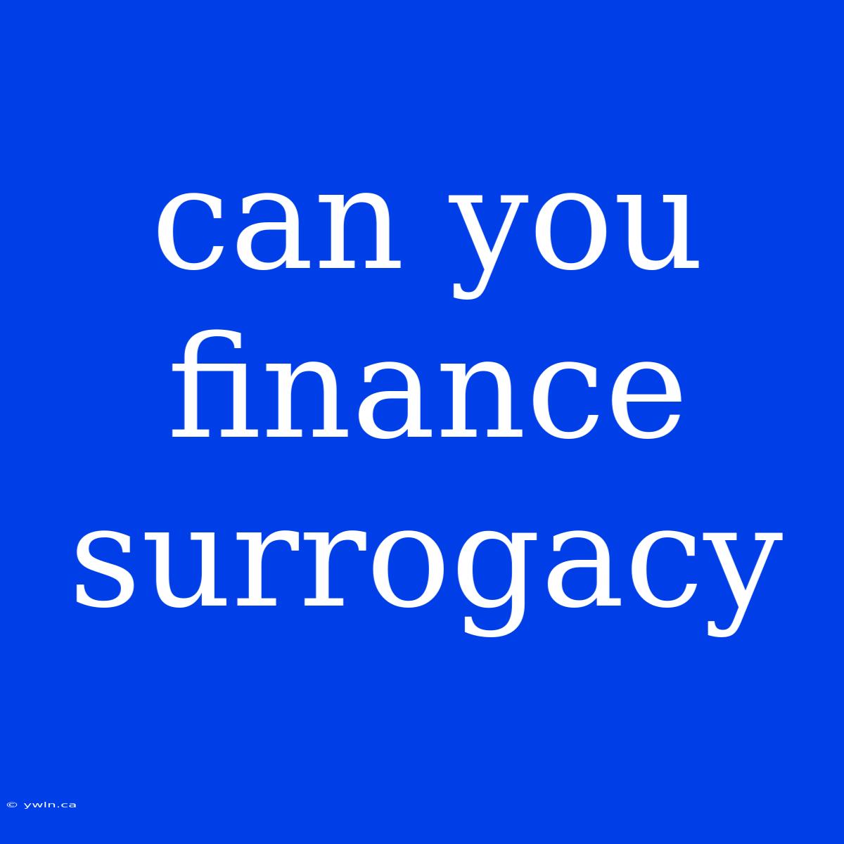 Can You Finance Surrogacy