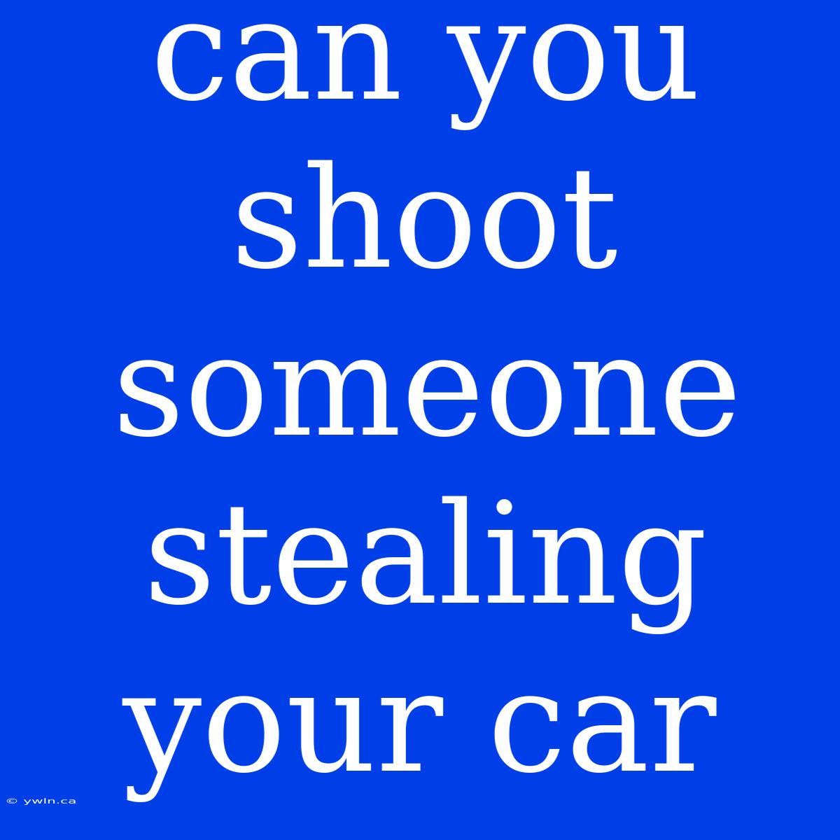 Can You Shoot Someone Stealing Your Car