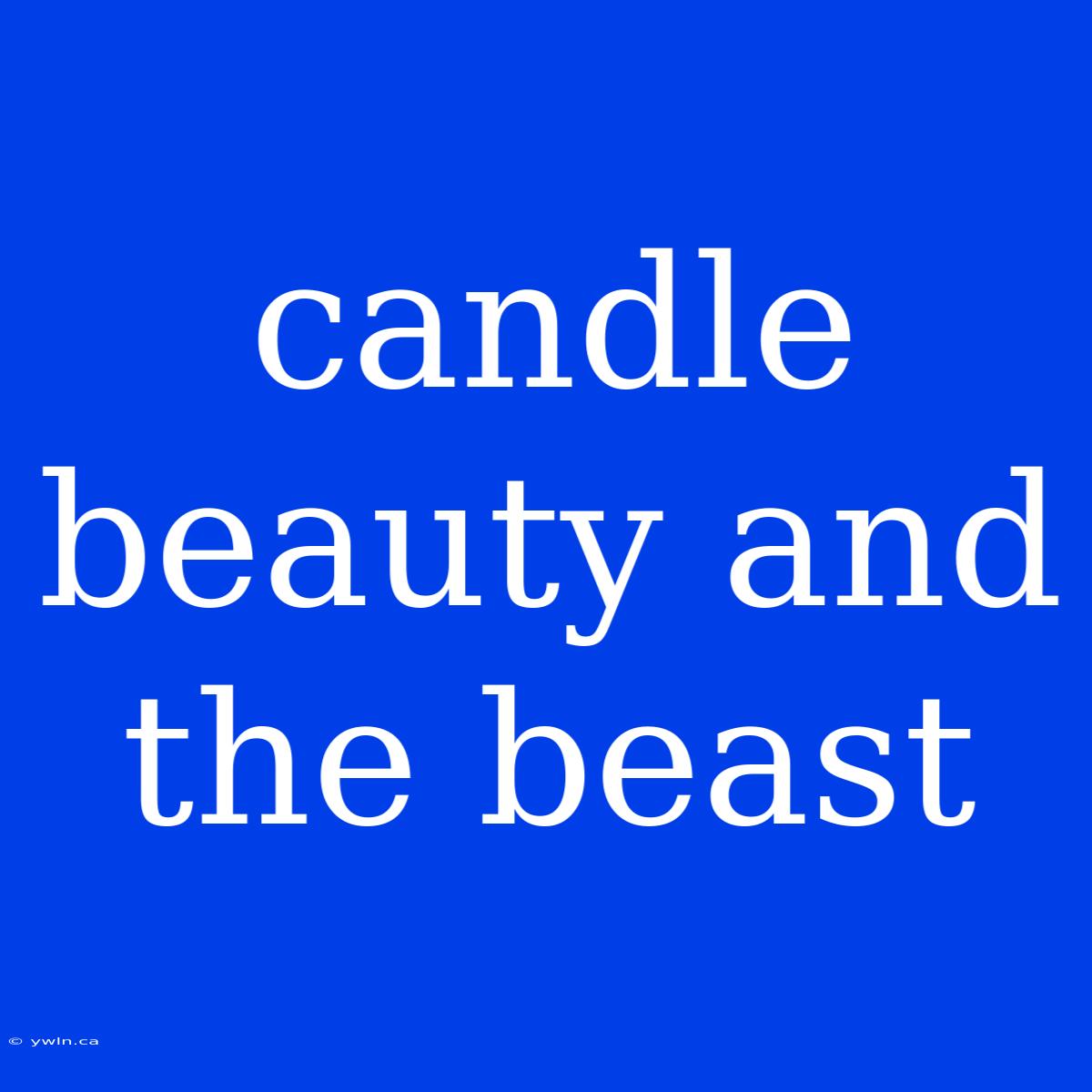 Candle Beauty And The Beast