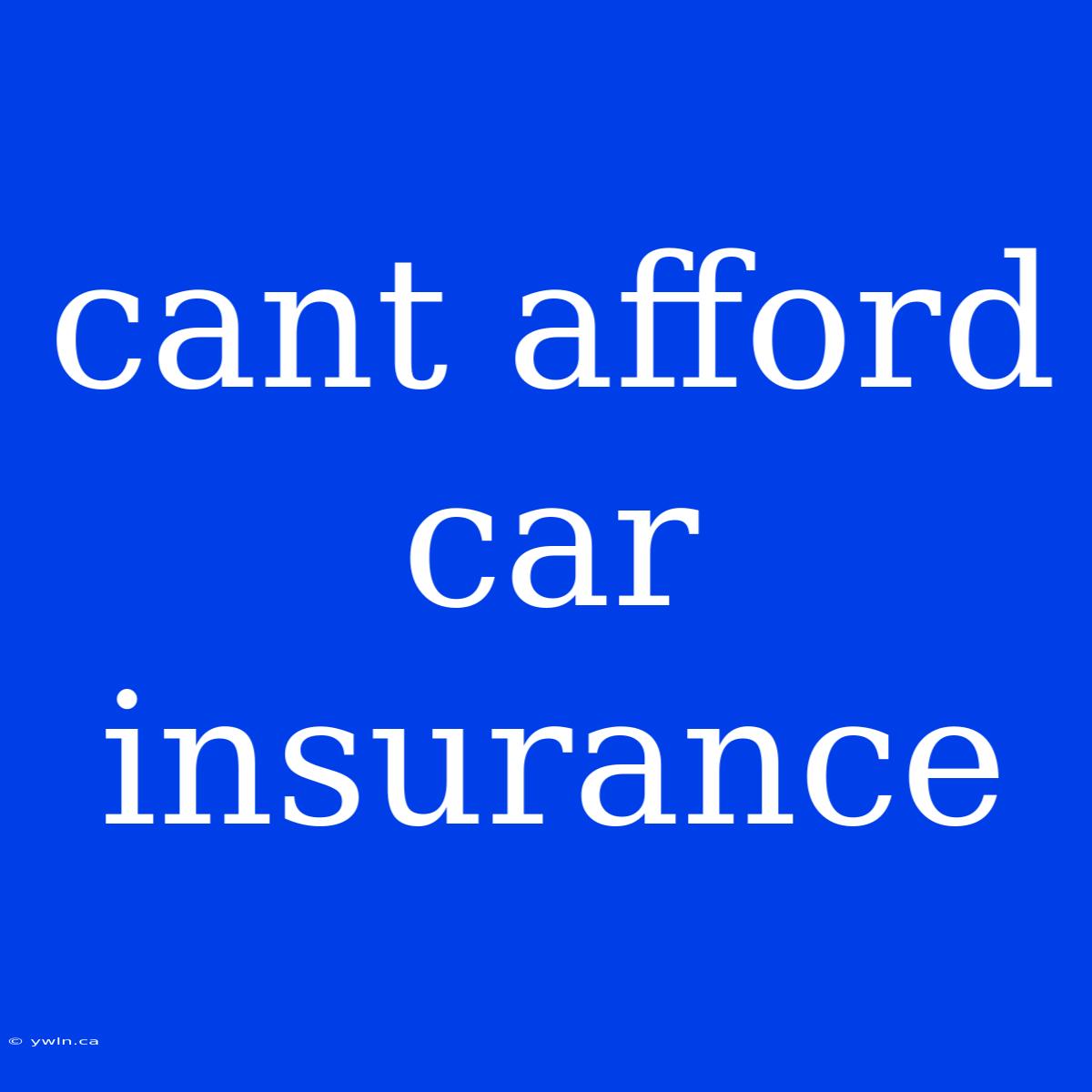 Cant Afford Car Insurance