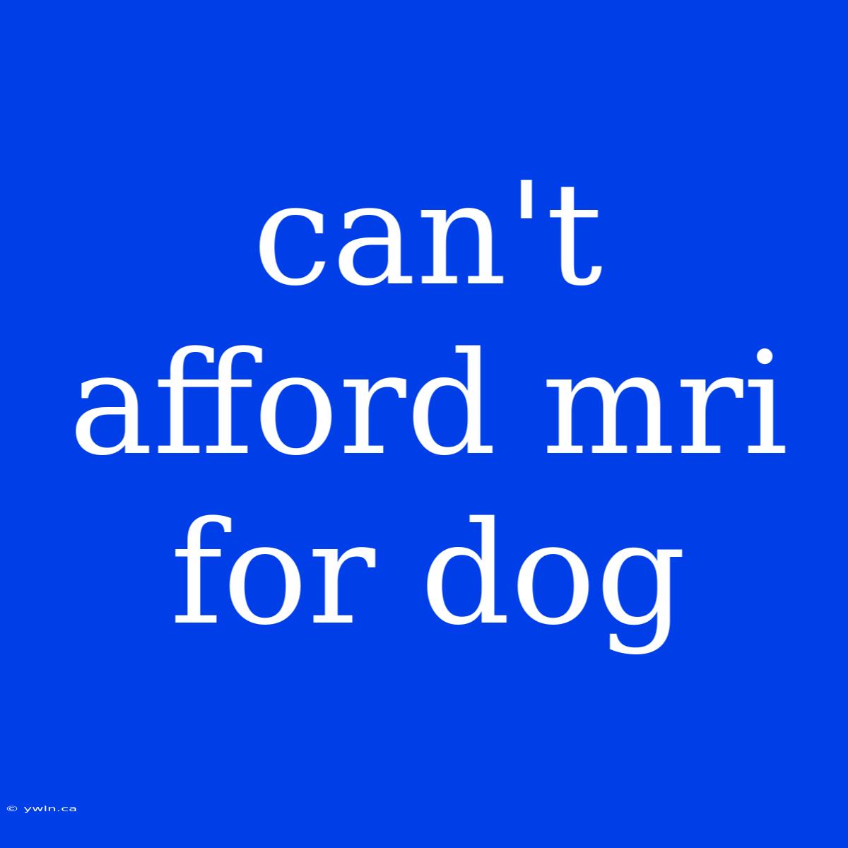 Can't Afford Mri For Dog