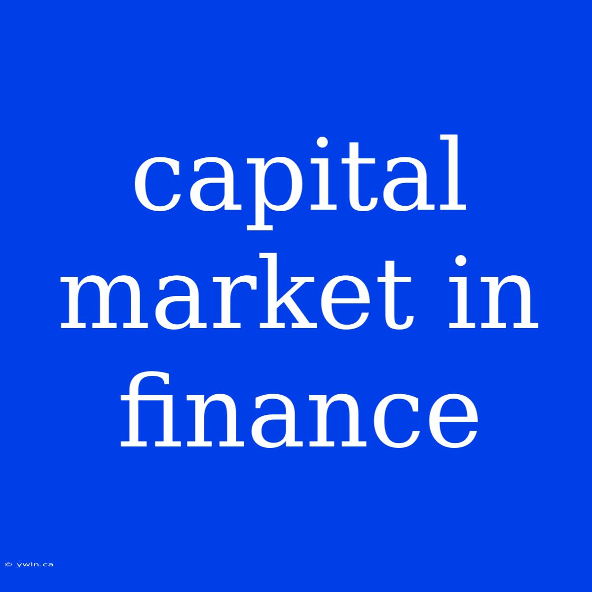 Capital Market In Finance