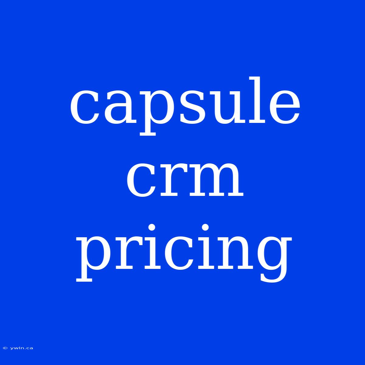 Capsule Crm Pricing