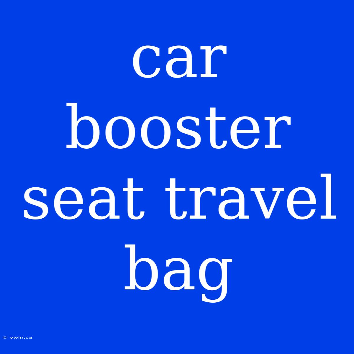 Car Booster Seat Travel Bag