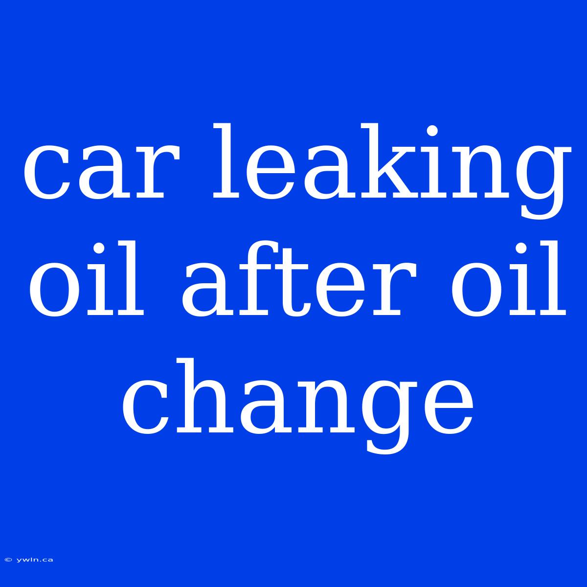 Car Leaking Oil After Oil Change