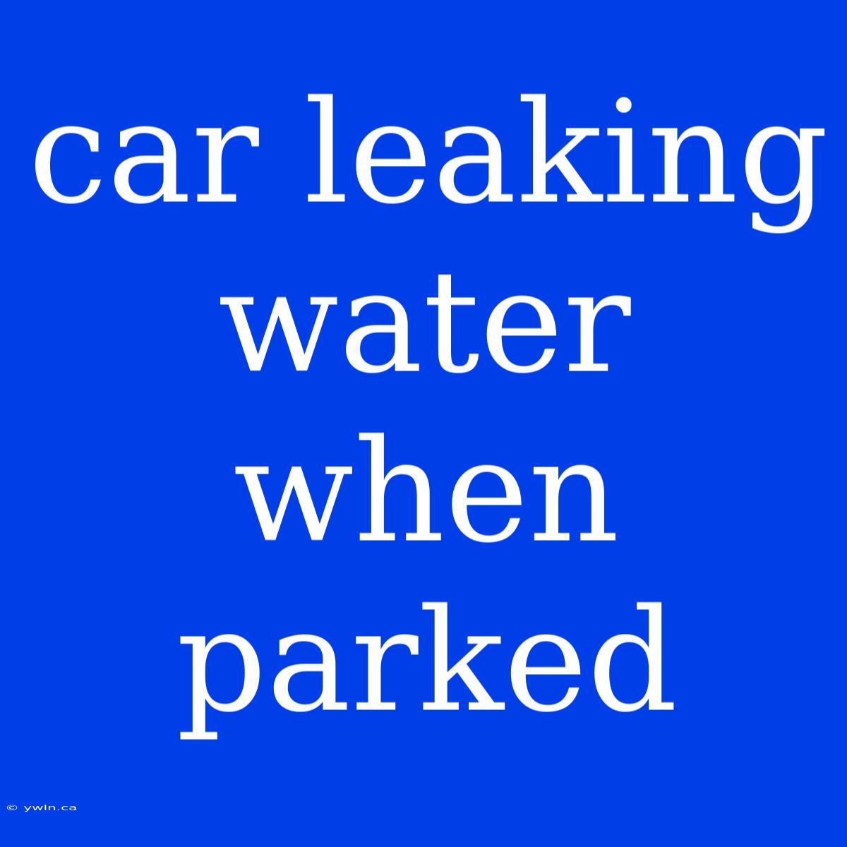 Car Leaking Water When Parked