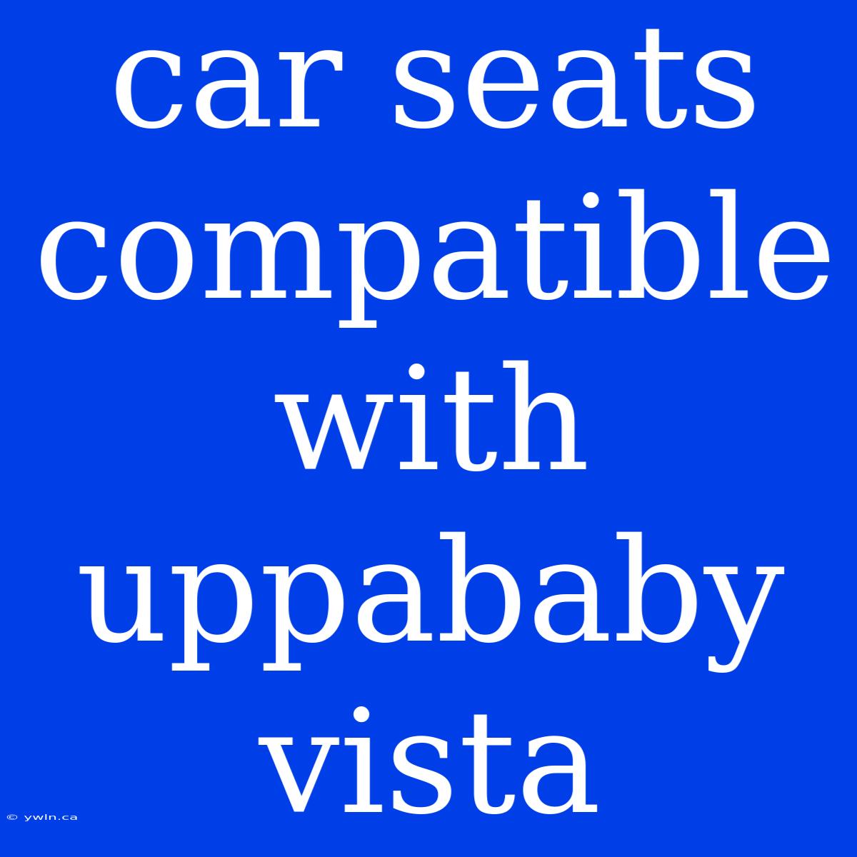 Car Seats Compatible With Uppababy Vista