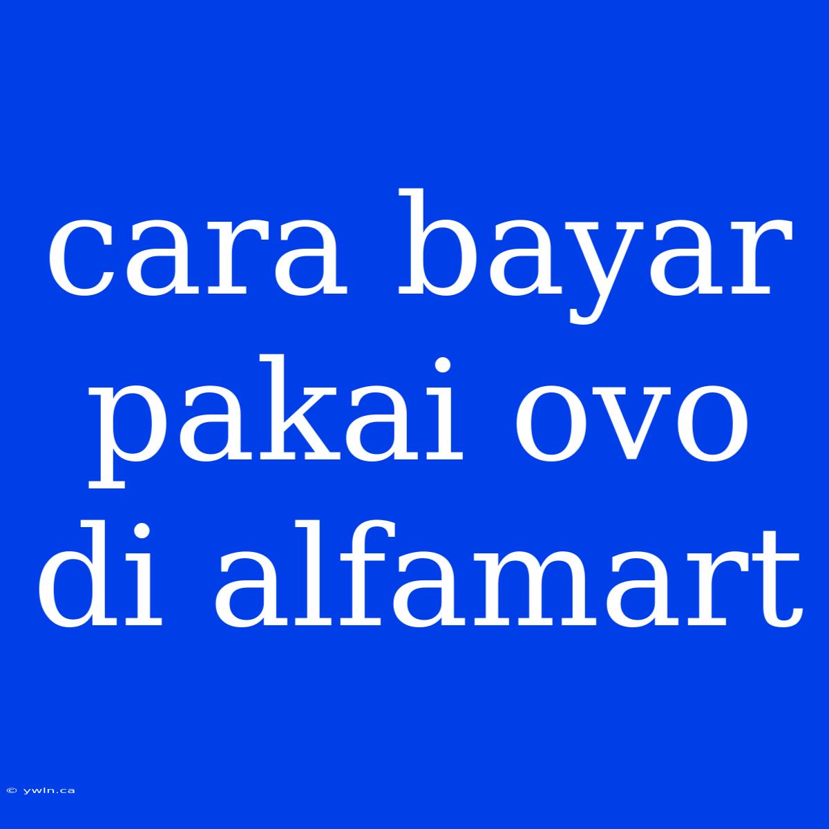 Cara Bayar Pakai Ovo Di Alfamart