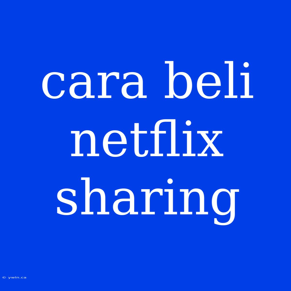 Cara Beli Netflix Sharing