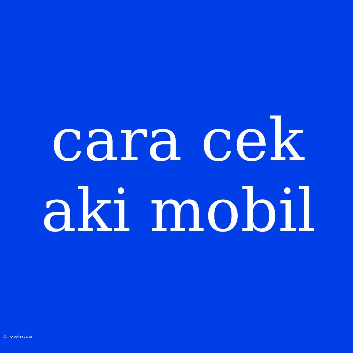 Cara Cek Aki Mobil