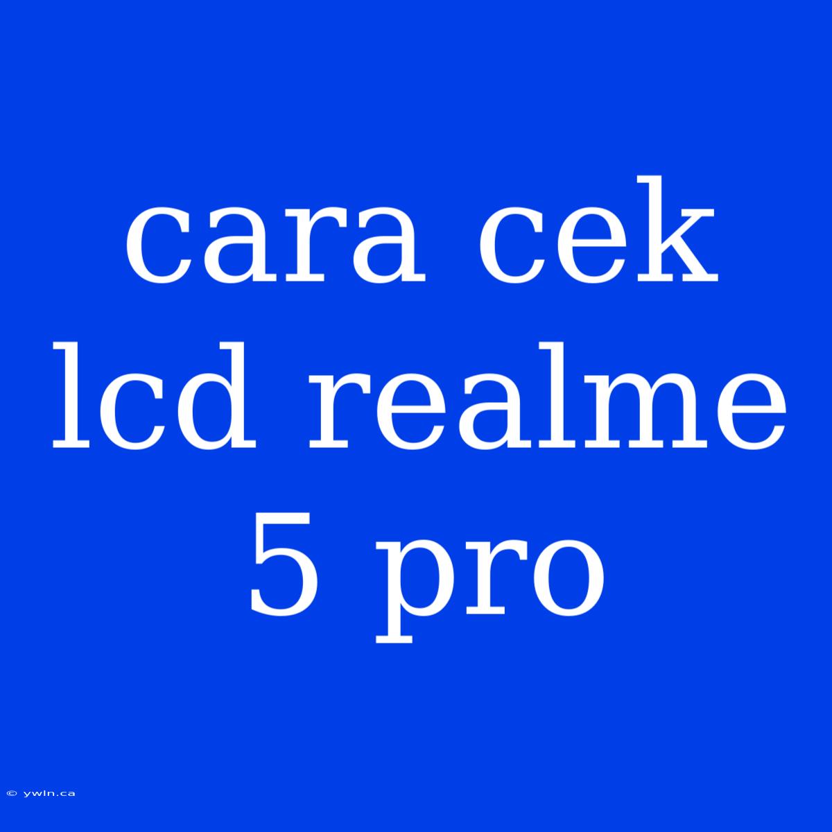 Cara Cek Lcd Realme 5 Pro