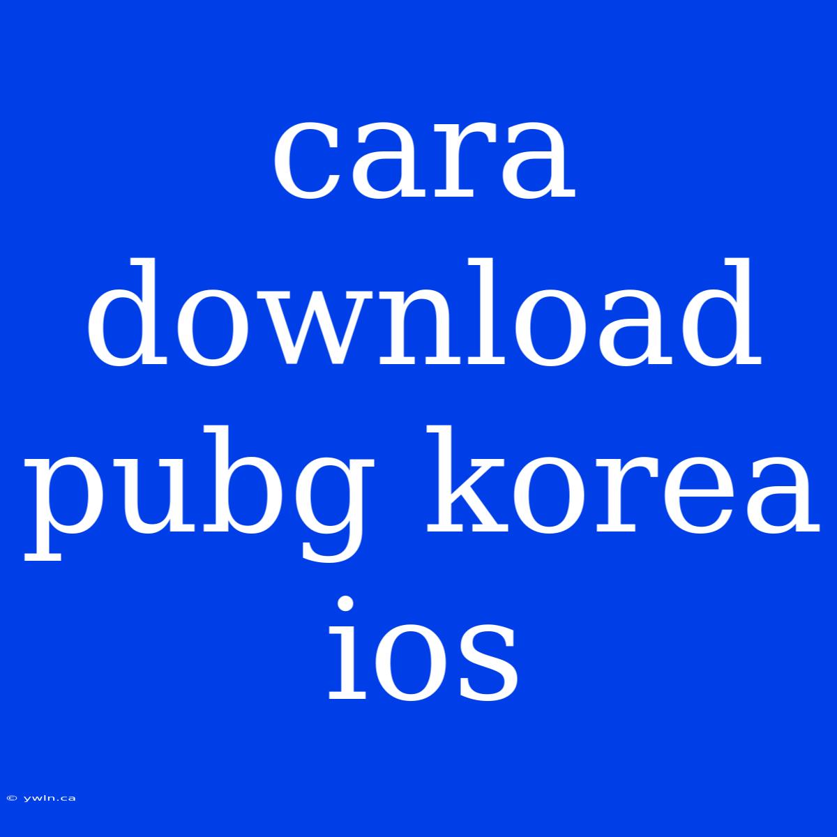 Cara Download Pubg Korea Ios