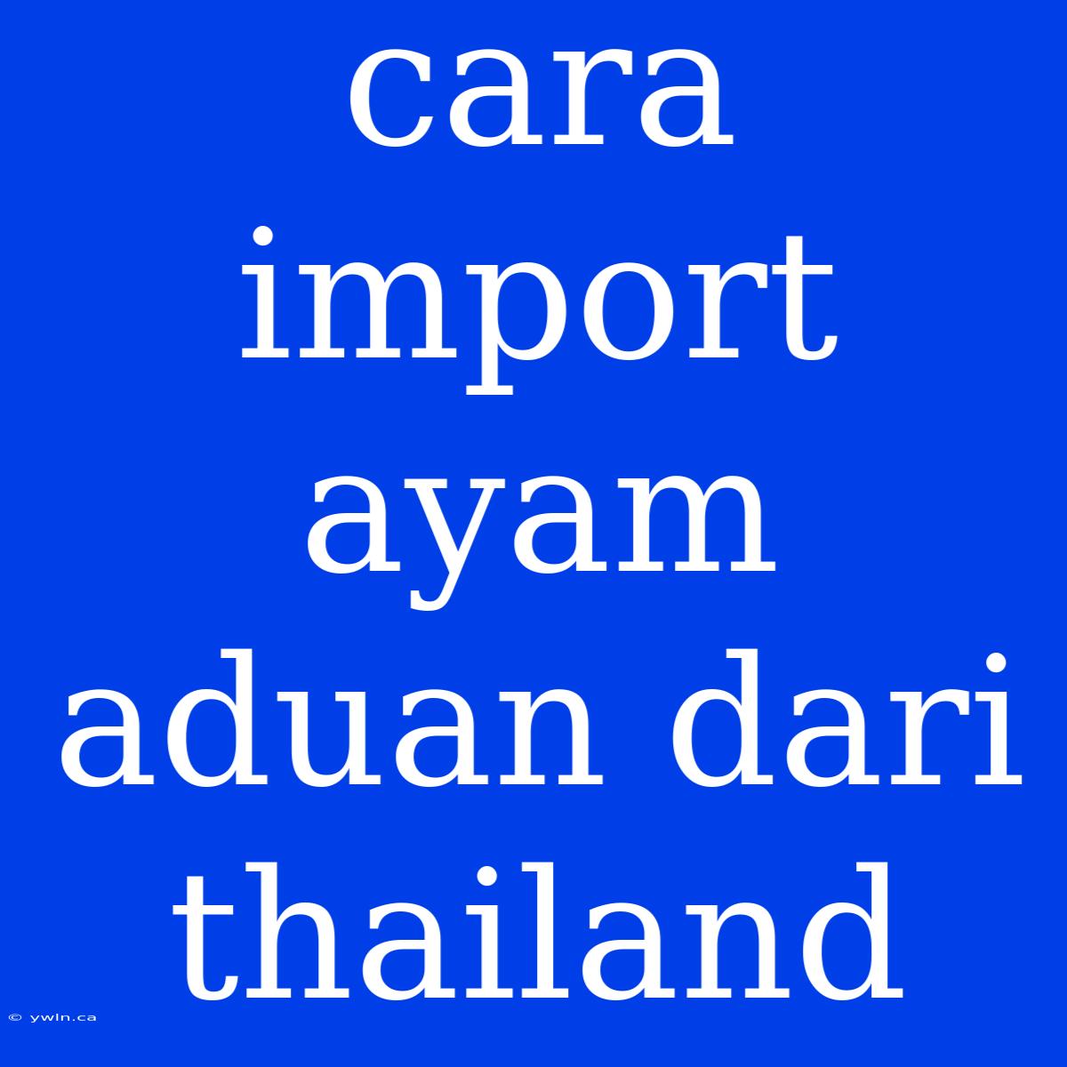 Cara Import Ayam Aduan Dari Thailand