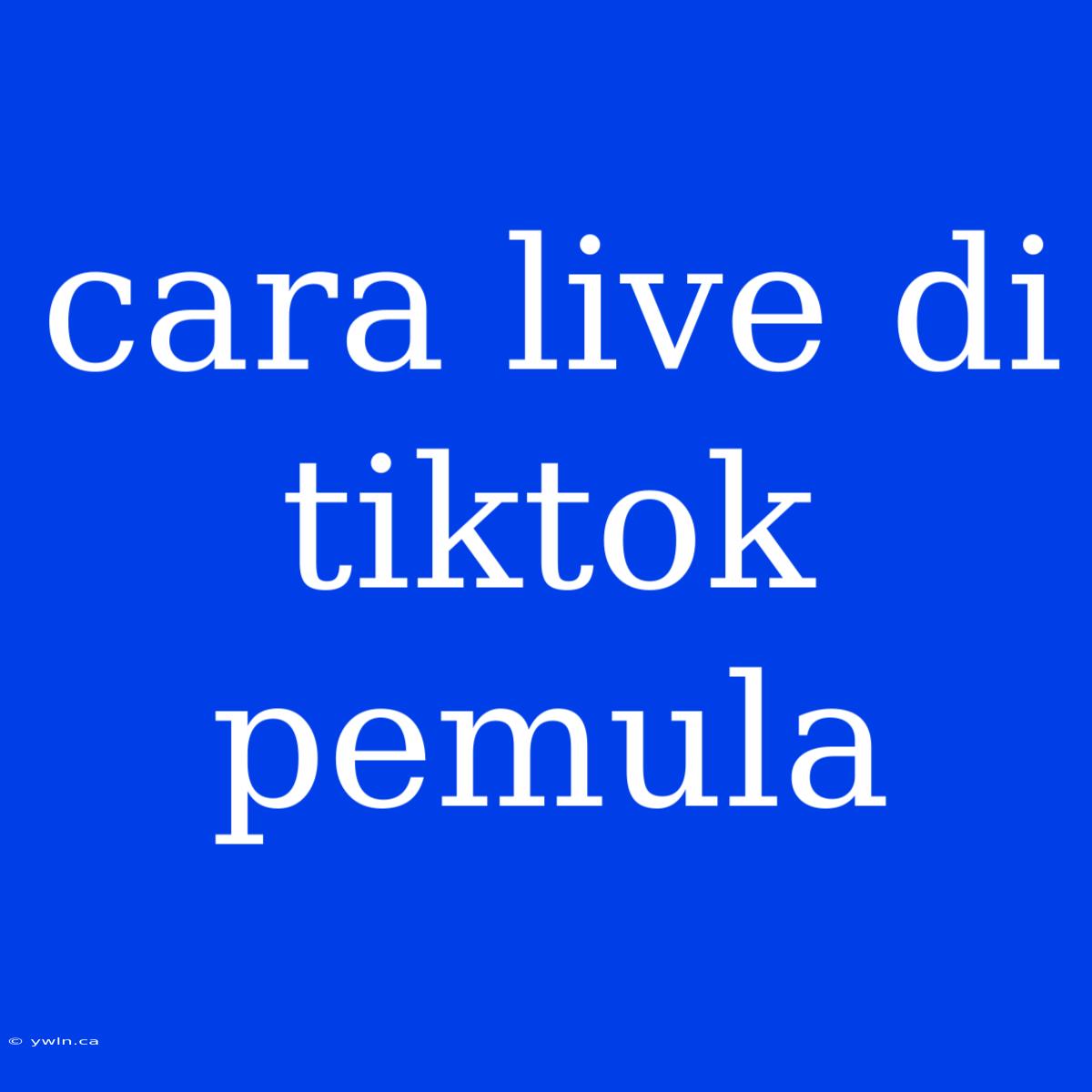 Cara Live Di Tiktok Pemula