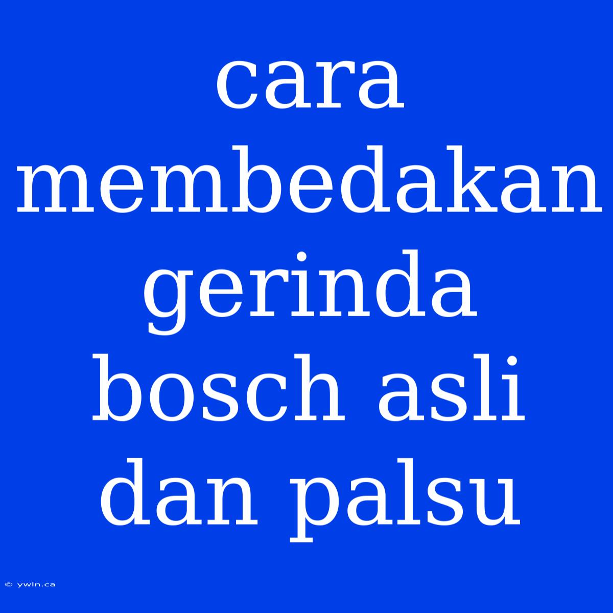 Cara Membedakan Gerinda Bosch Asli Dan Palsu