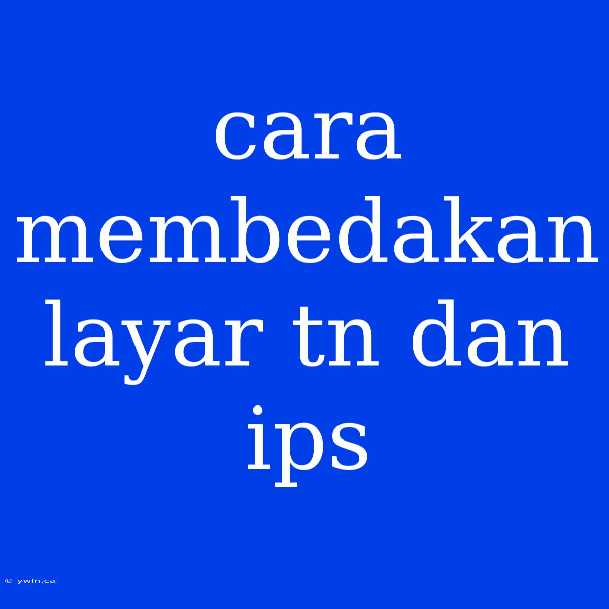 Cara Membedakan Layar Tn Dan Ips