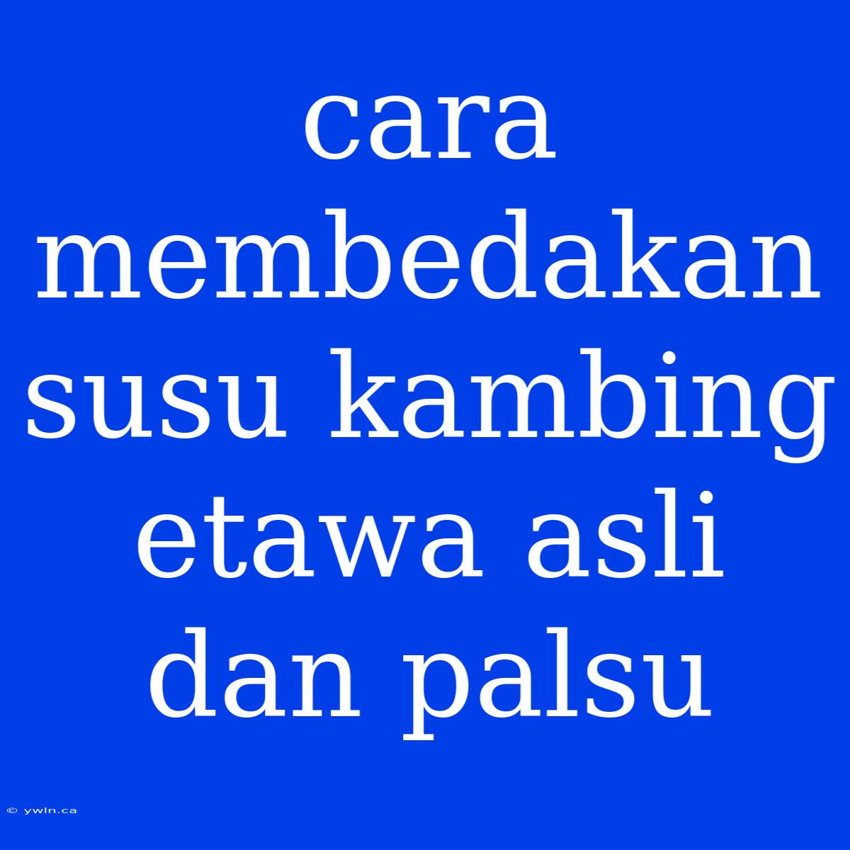 Cara Membedakan Susu Kambing Etawa Asli Dan Palsu