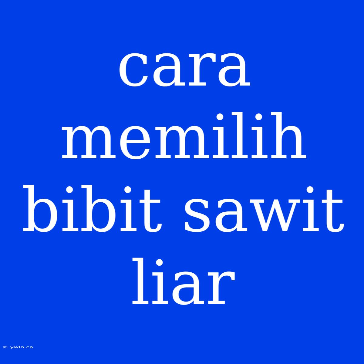 Cara Memilih Bibit Sawit Liar