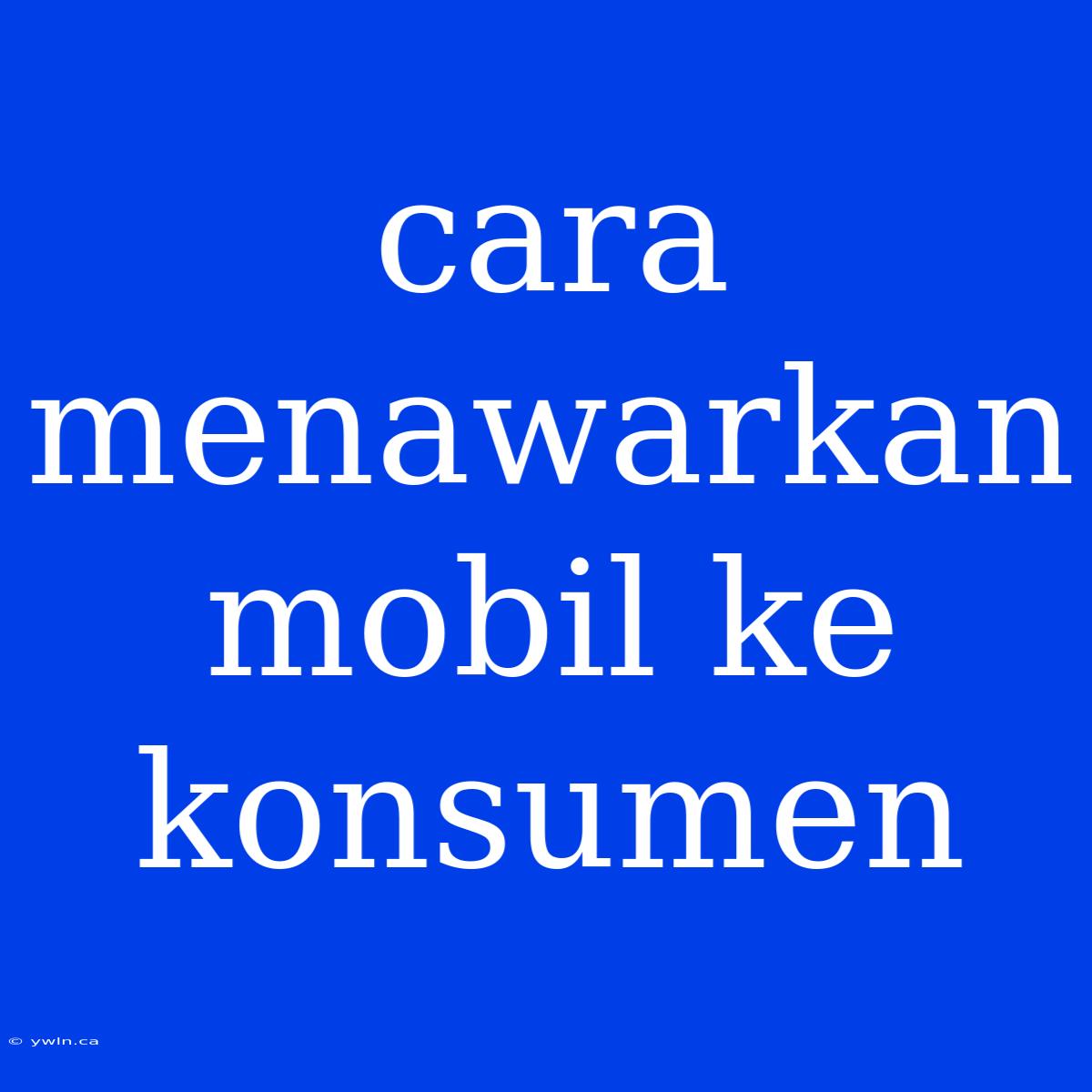 Cara Menawarkan Mobil Ke Konsumen