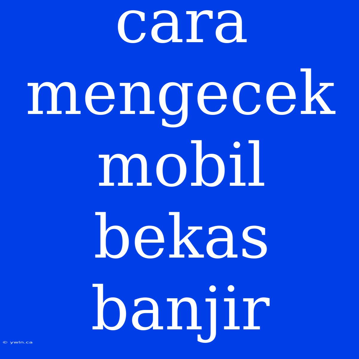 Cara Mengecek Mobil Bekas Banjir