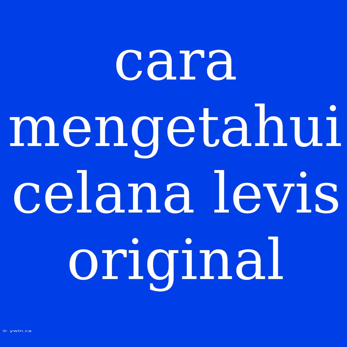 Cara Mengetahui Celana Levis Original