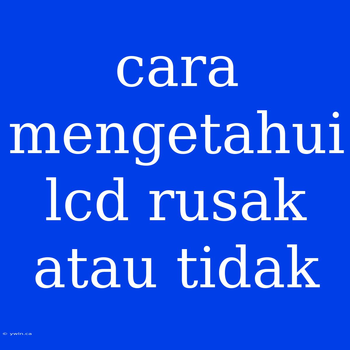 Cara Mengetahui Lcd Rusak Atau Tidak