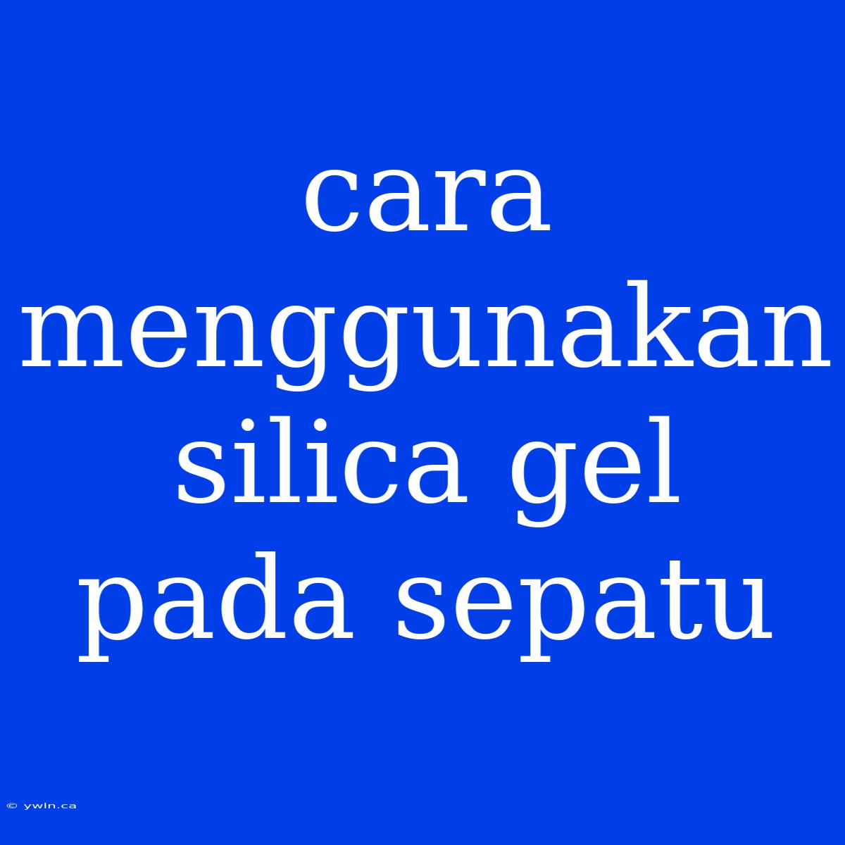 Cara Menggunakan Silica Gel Pada Sepatu