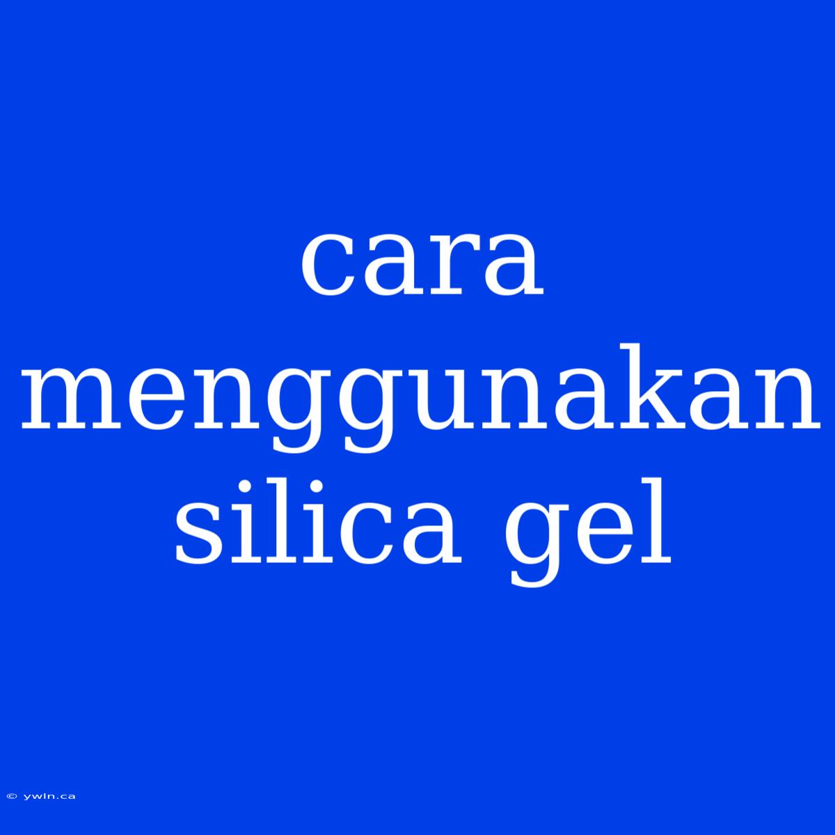 Cara Menggunakan Silica Gel