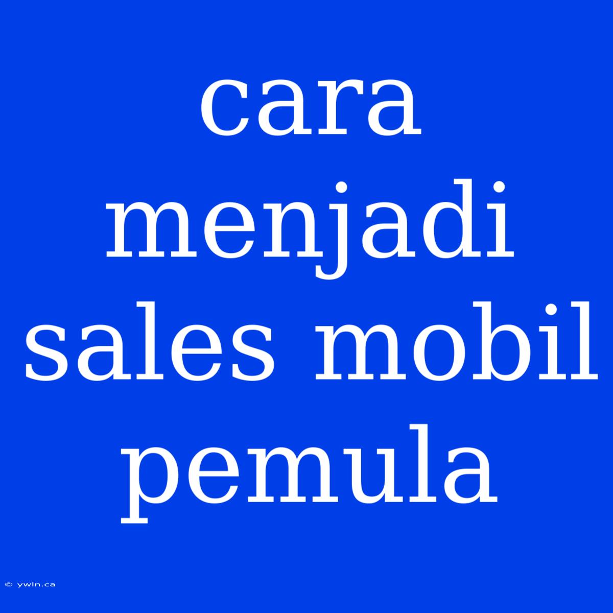 Cara Menjadi Sales Mobil Pemula