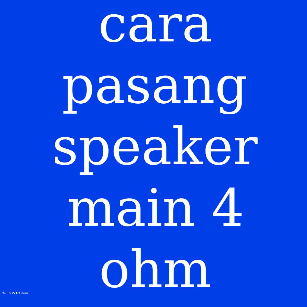 Cara Pasang Speaker Main 4 Ohm