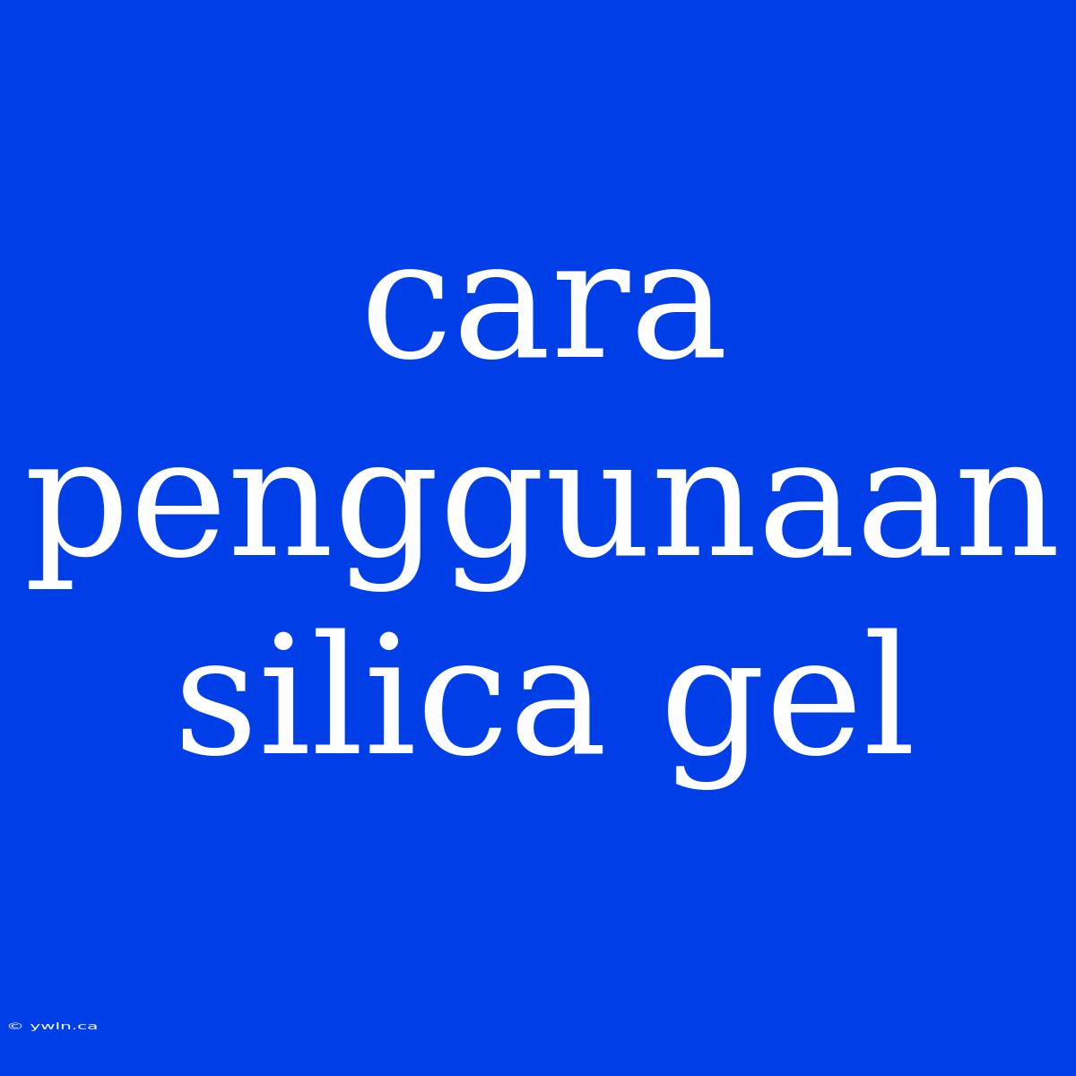 Cara Penggunaan Silica Gel