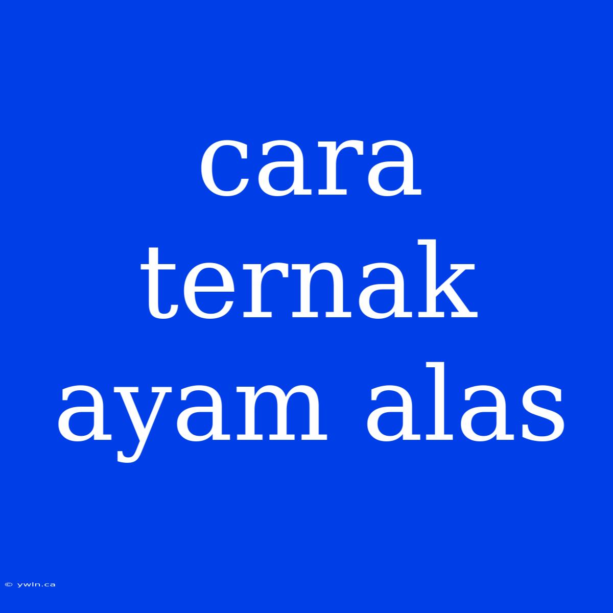 Cara Ternak Ayam Alas