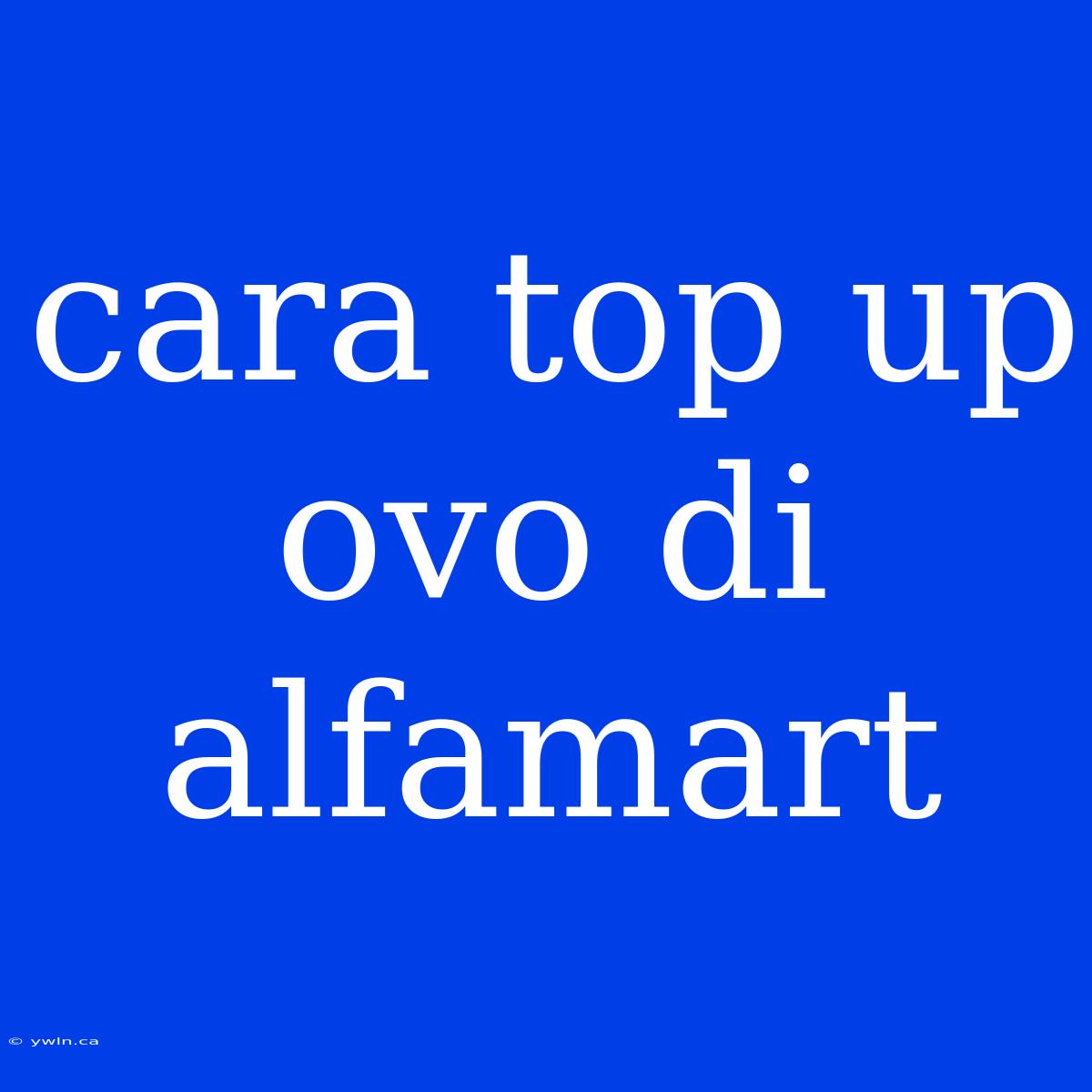 Cara Top Up Ovo Di Alfamart