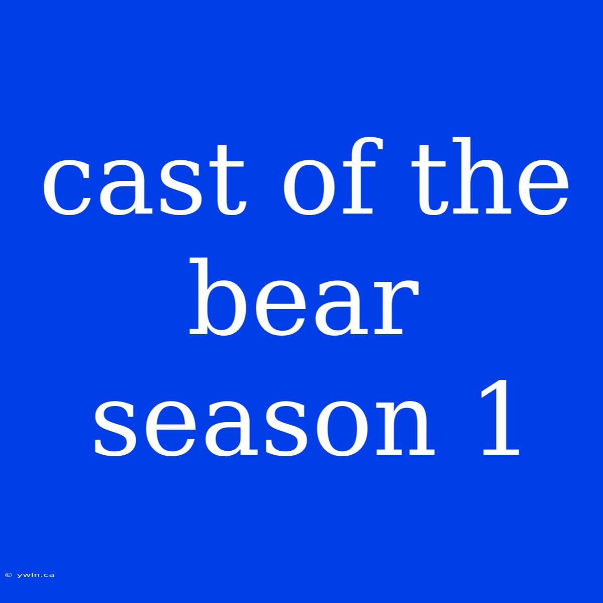 Cast Of The Bear Season 1