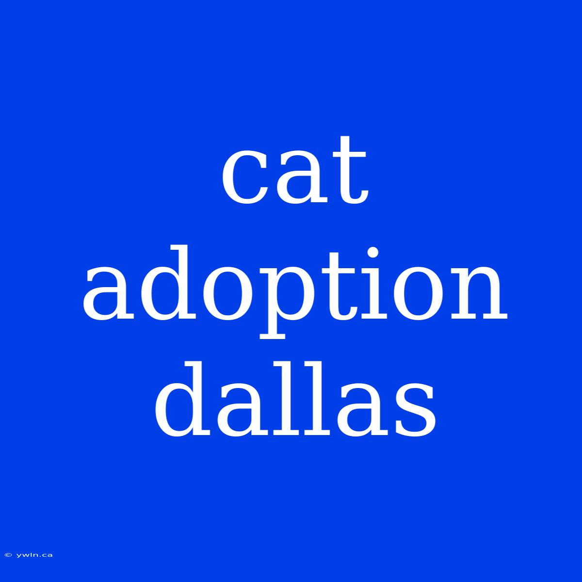 Cat Adoption Dallas