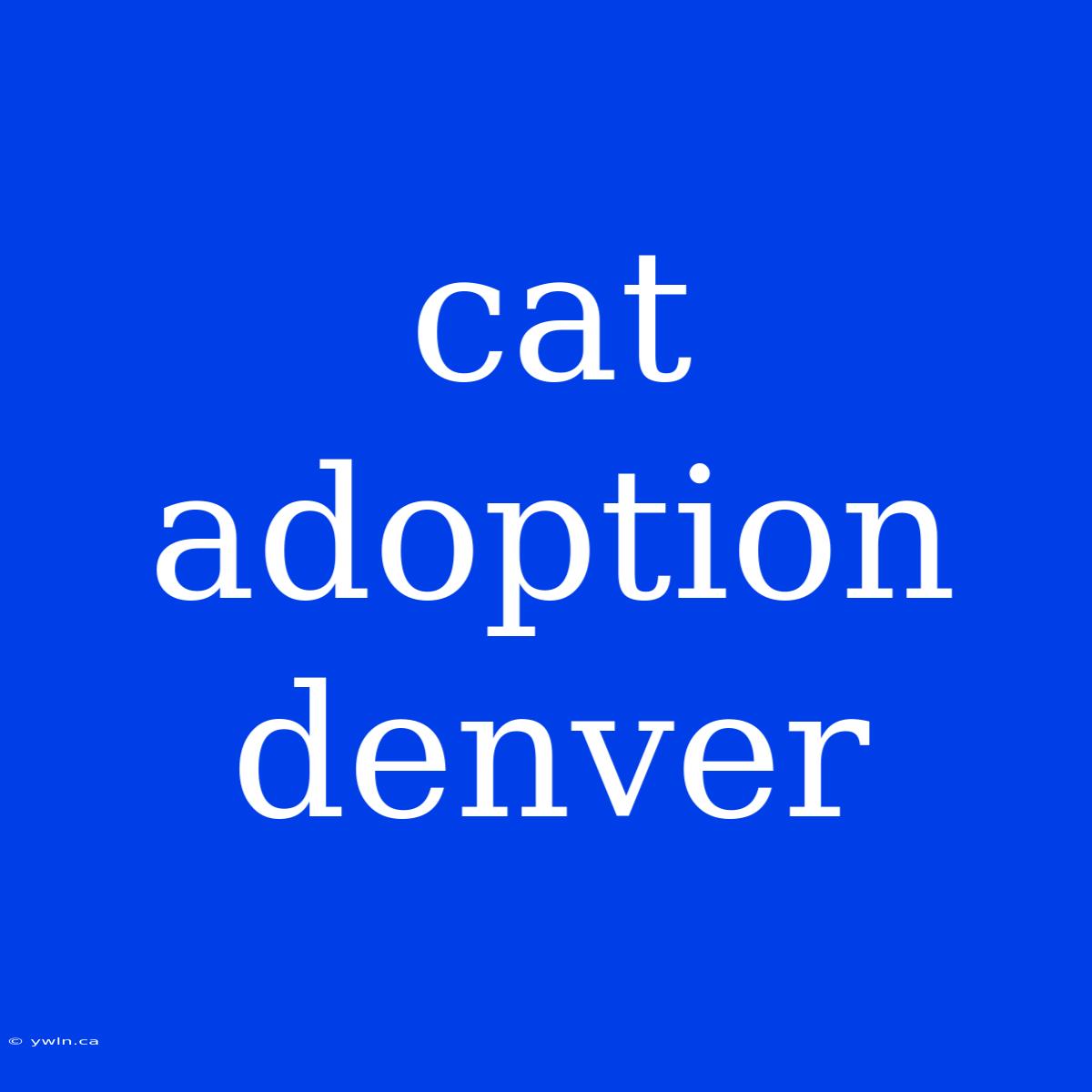 Cat Adoption Denver