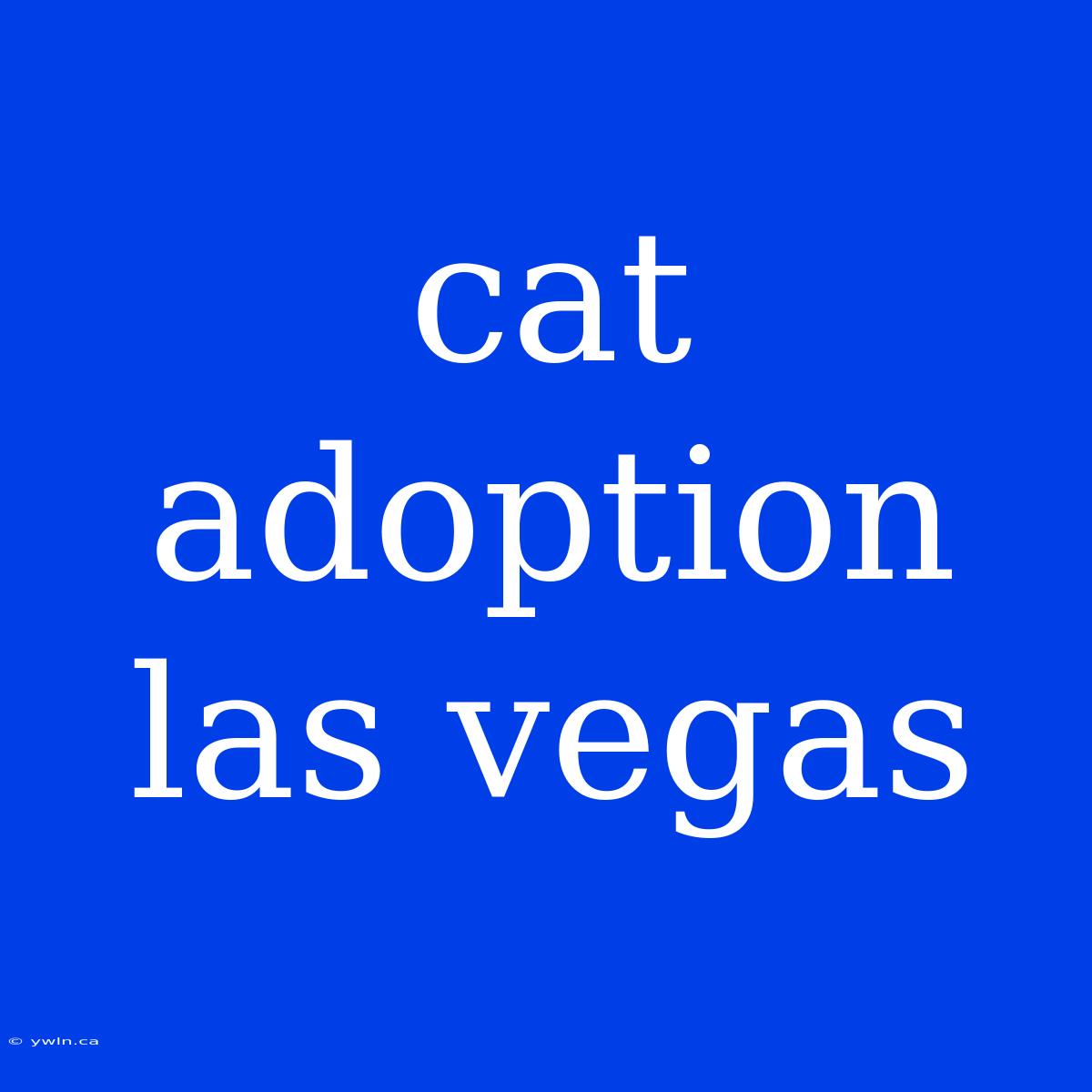 Cat Adoption Las Vegas