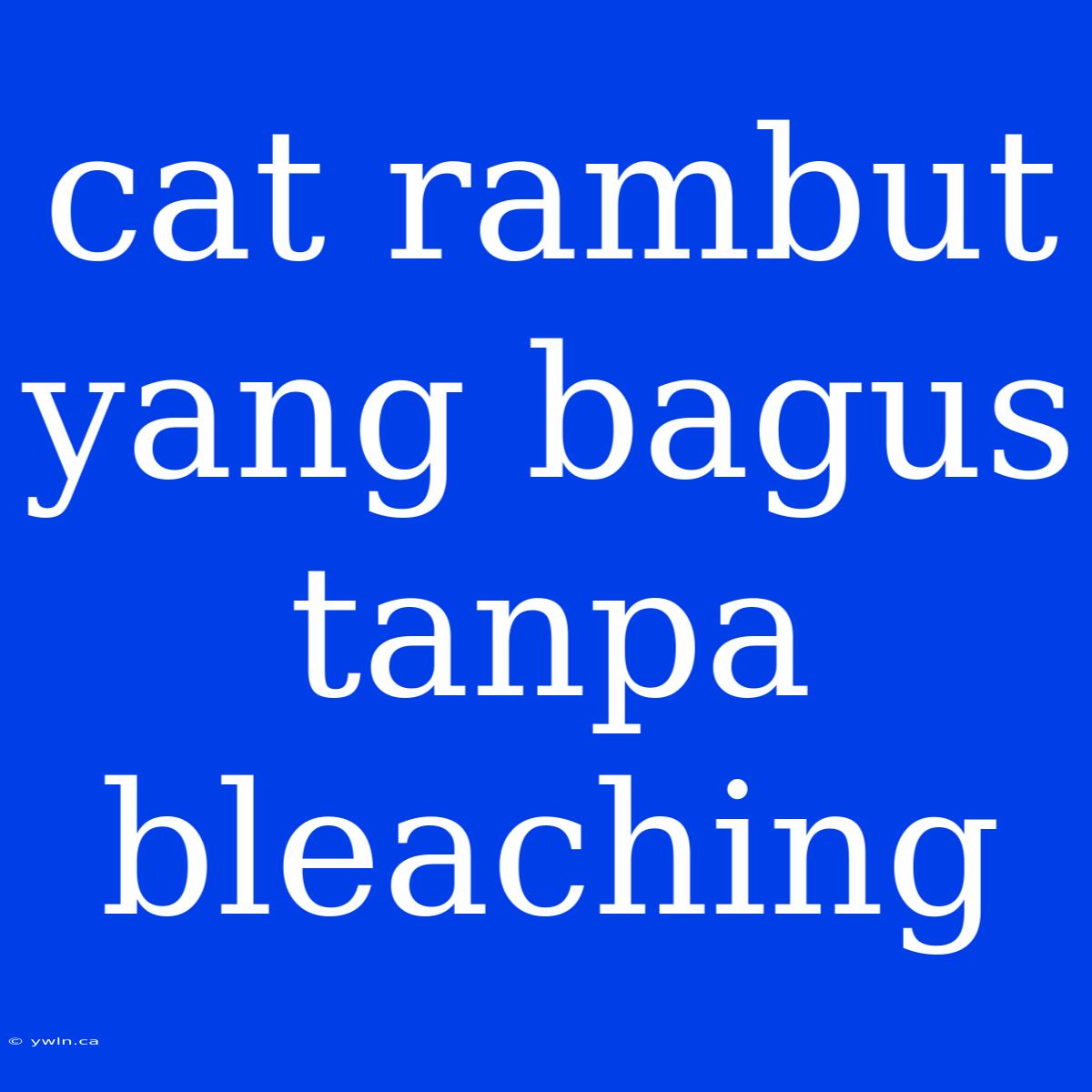 Cat Rambut Yang Bagus Tanpa Bleaching