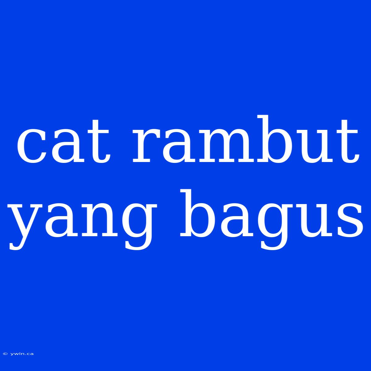 Cat Rambut Yang Bagus