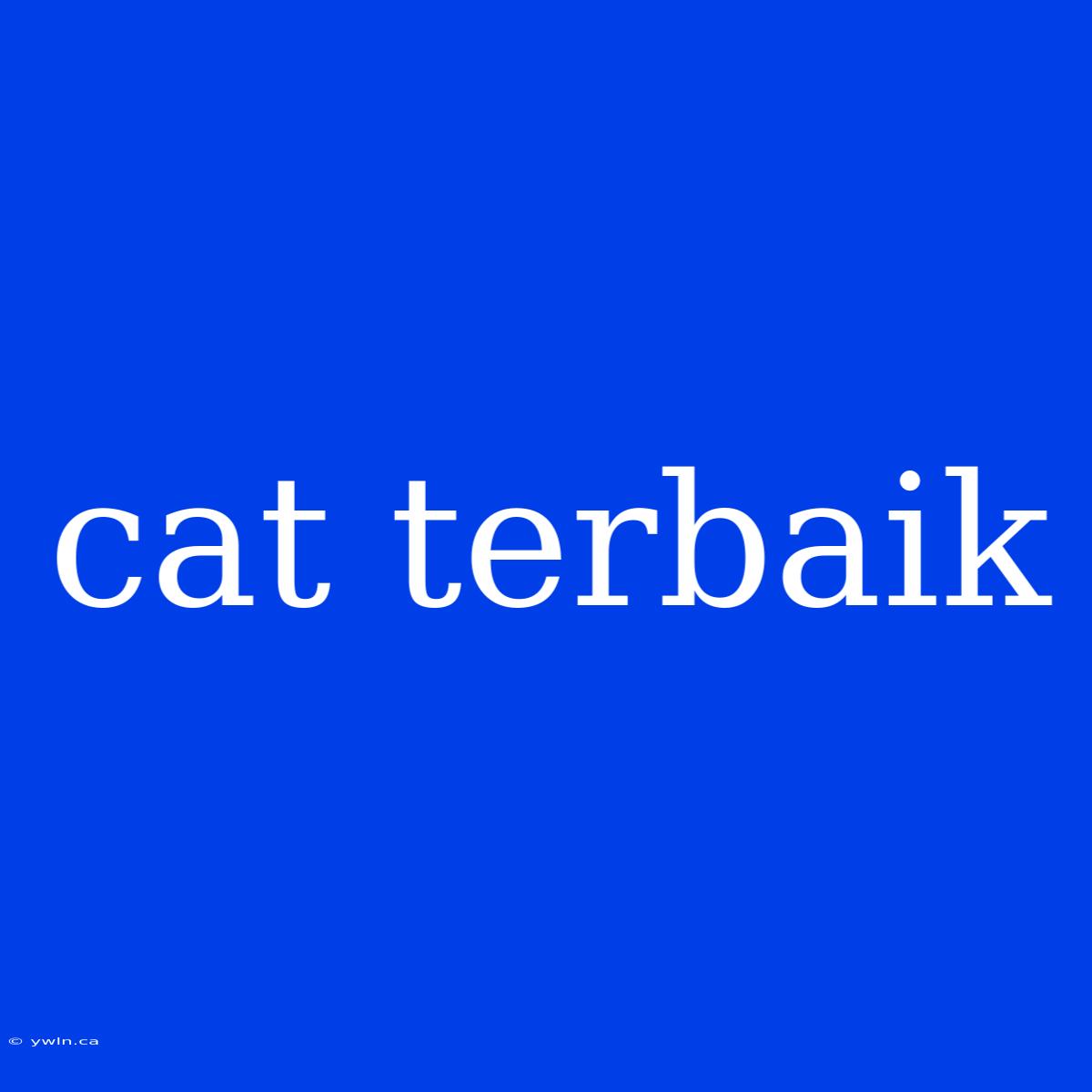 Cat Terbaik