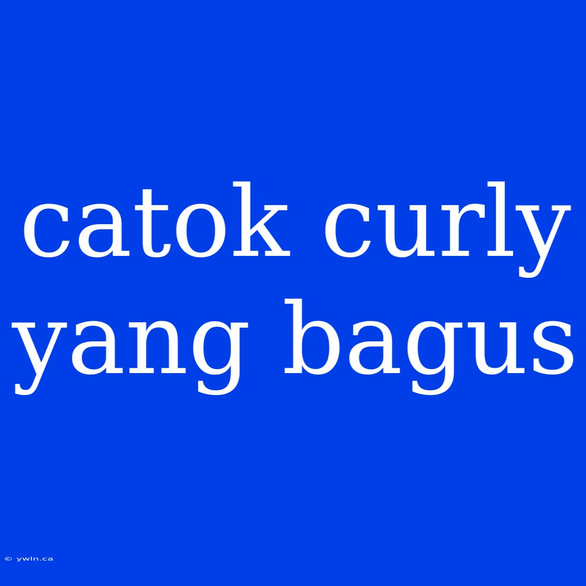 Catok Curly Yang Bagus