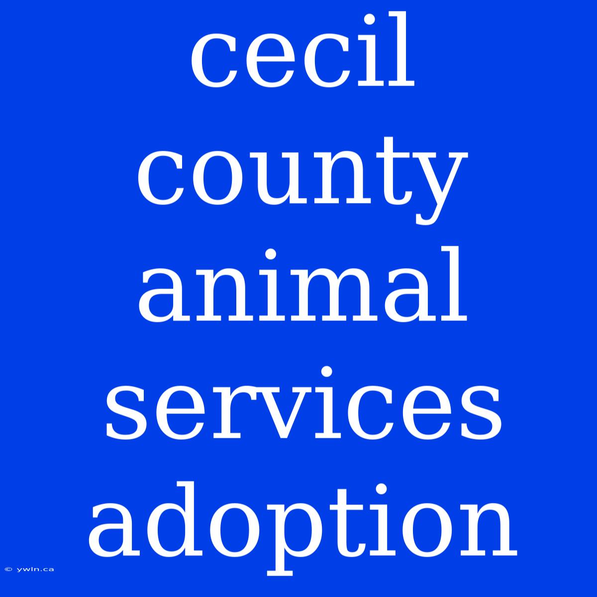 Cecil County Animal Services Adoption