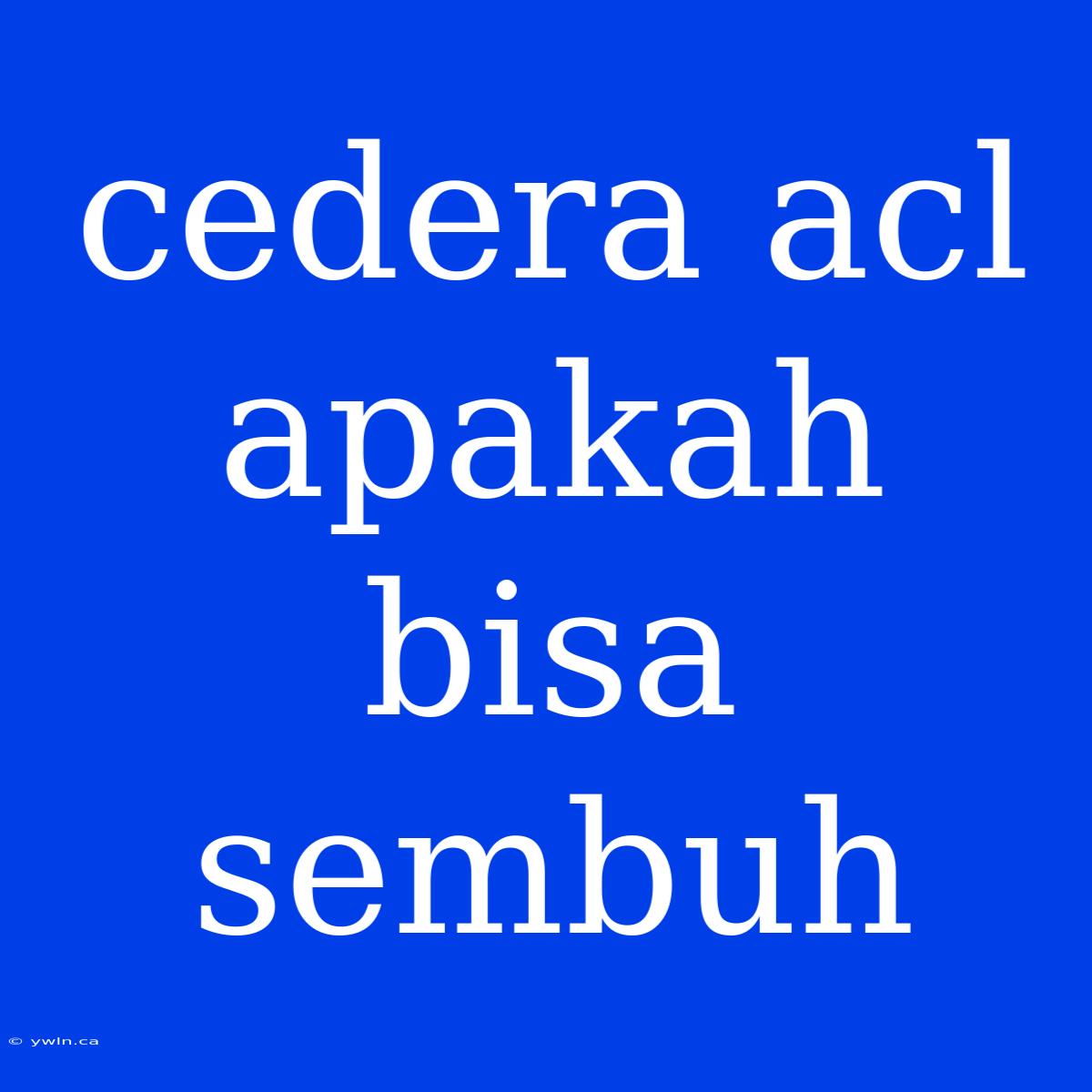 Cedera Acl Apakah Bisa Sembuh