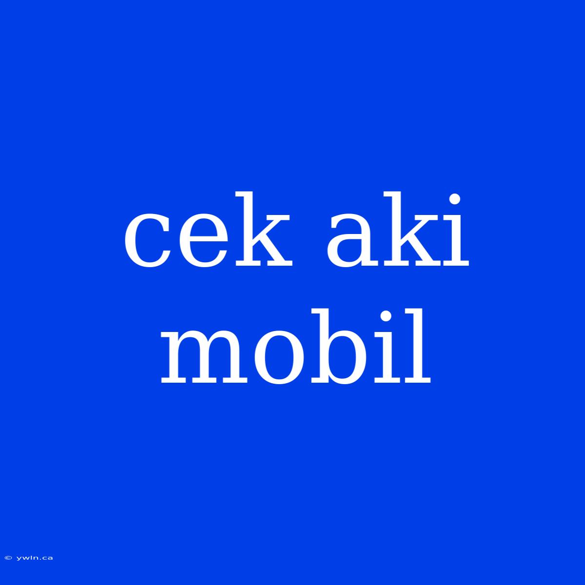 Cek Aki Mobil