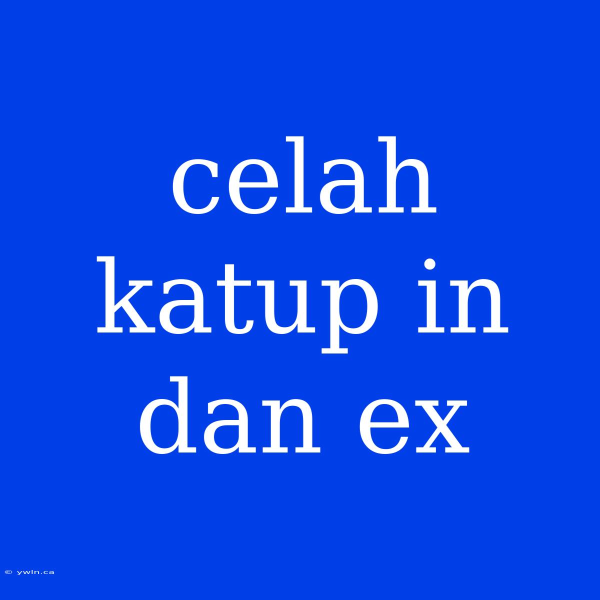 Celah Katup In Dan Ex