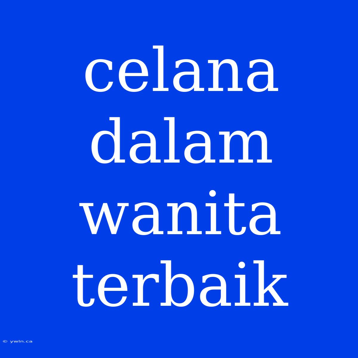 Celana Dalam Wanita Terbaik