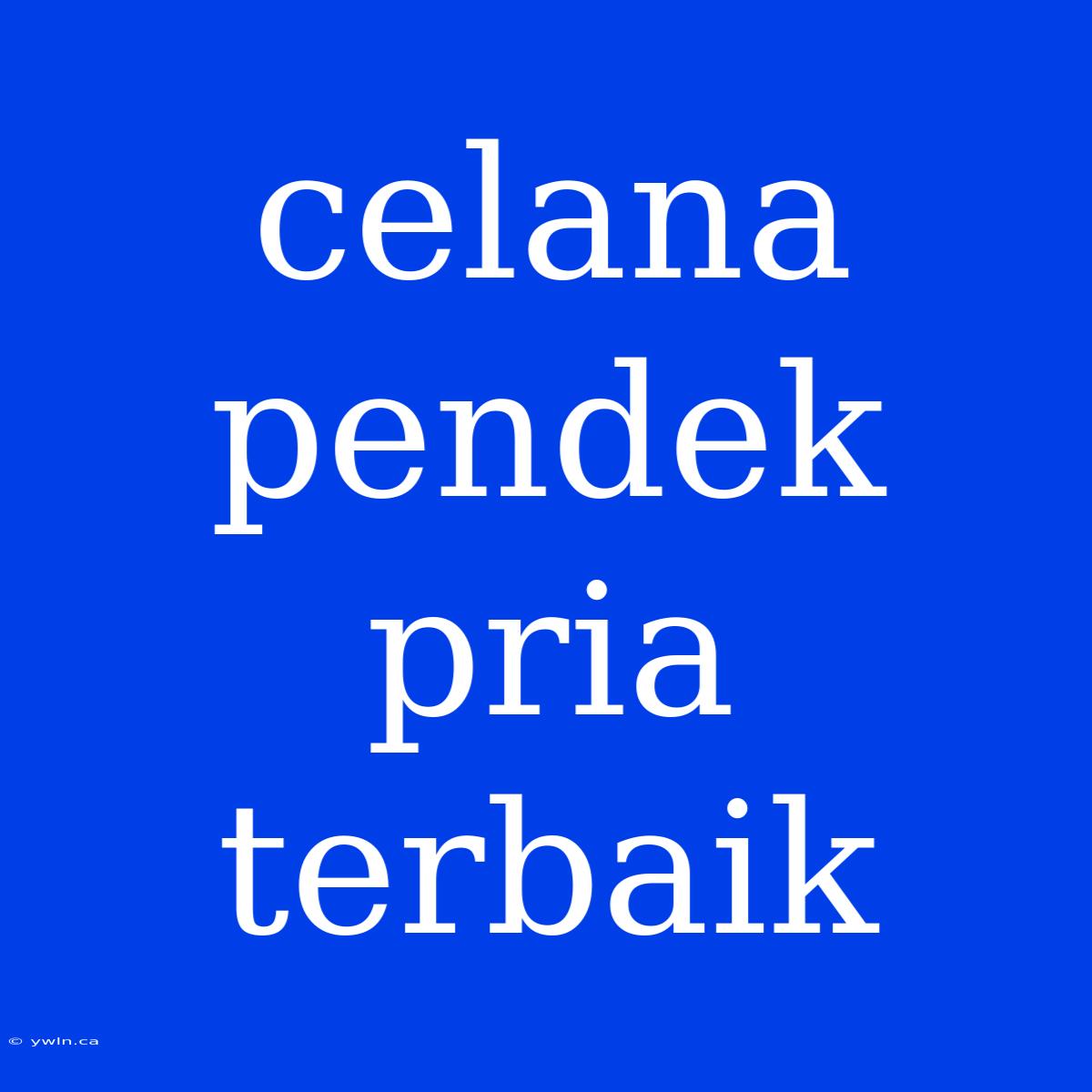 Celana Pendek Pria Terbaik