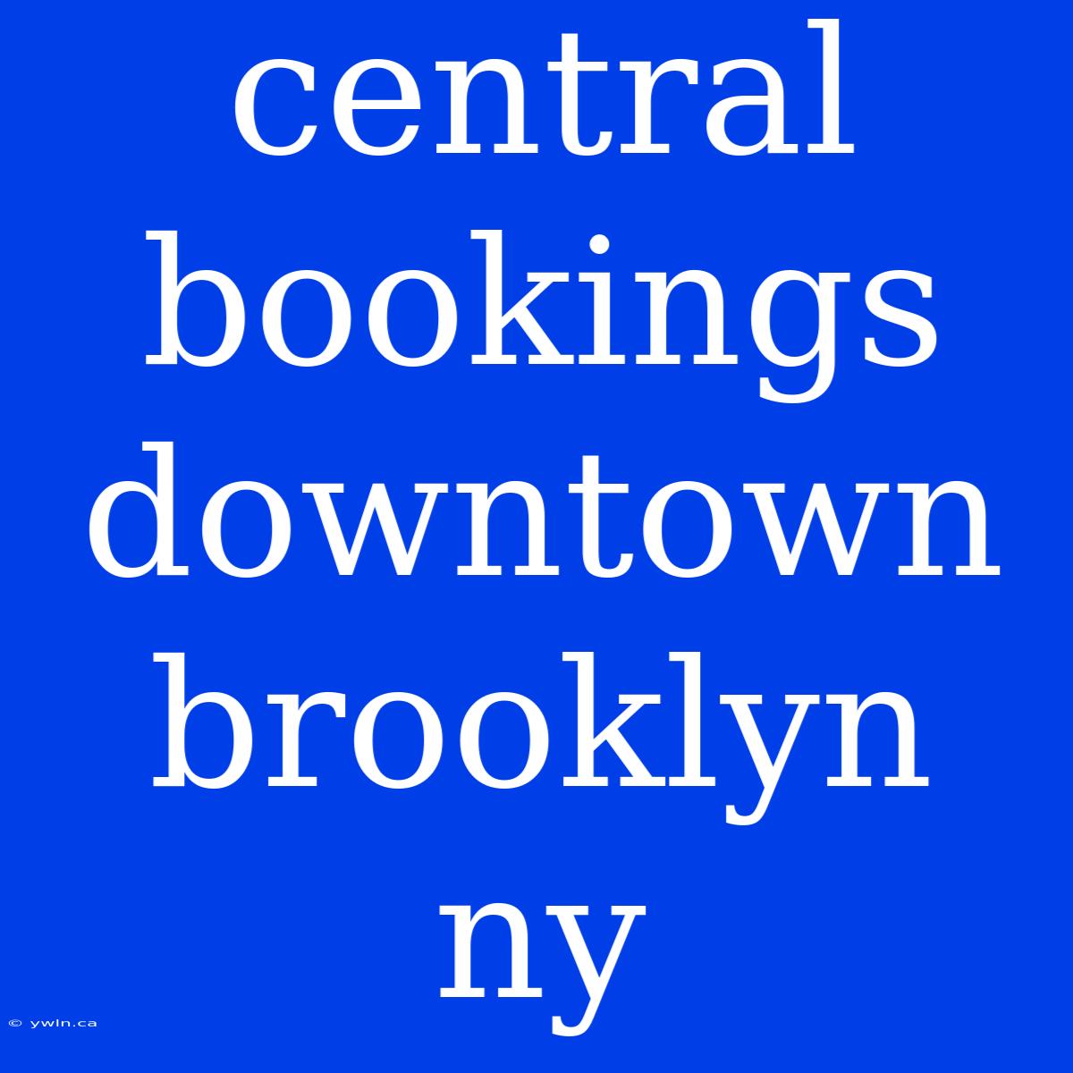 Central Bookings Downtown Brooklyn Ny