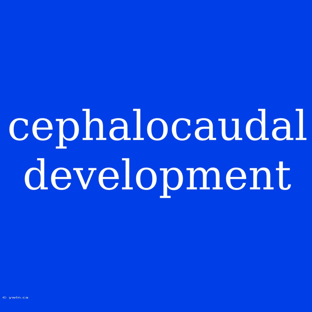 Cephalocaudal Development